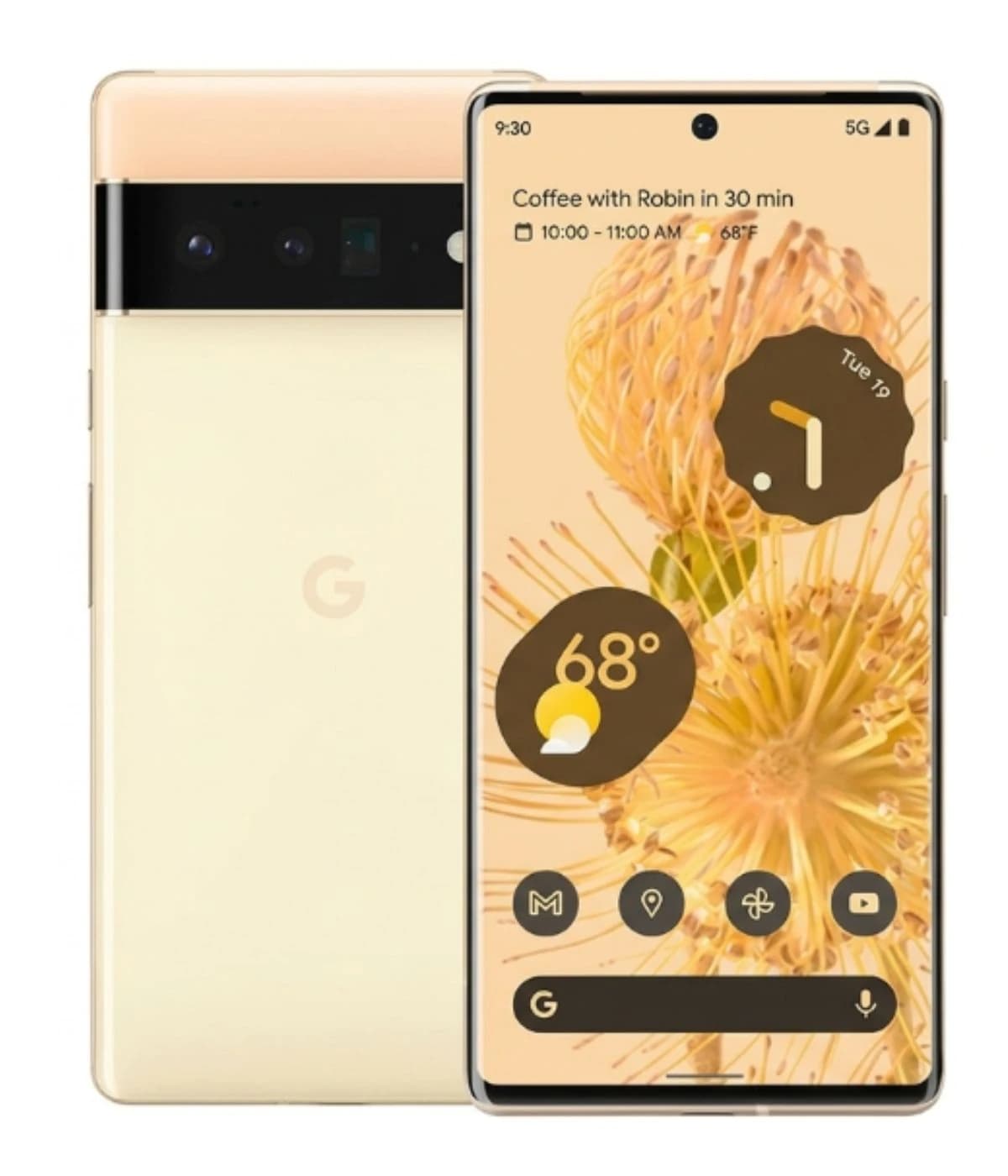 Google Pixel 6 Pro smartphone in a soft gold color with a sleek design. The front displays a vibrant home screen featuring a floral wallpaper, weather information, and app icons. The back showcases a dual-camera setup with a black camera module.