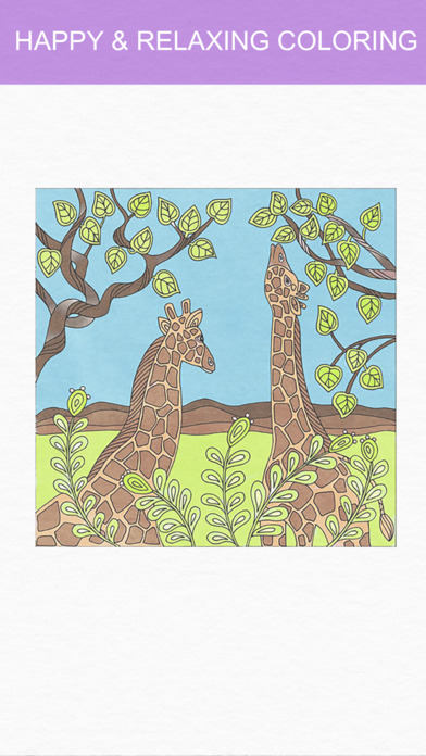 Zen Coloring Book For Adults