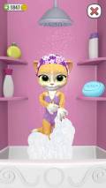 Emma The Cat   Virtual Pet mobile app for free download