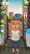 My Talking Cat Grumpy mobile app for free download