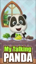 My Talking Panda