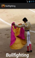 Bull Fighting