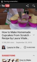 Cupcake Project 3