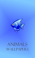 Animals Wallpapers