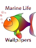 Aquatic Life Wallpapers 240x400