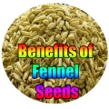 Benefits Of Fennel Seeds