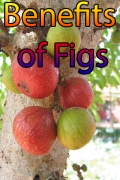 Benefits Of Figs