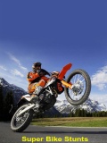 BikeStunts part3 240X320 mobile app for free download