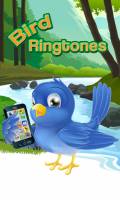 Bird Ringtones