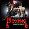Boxing Best Videos