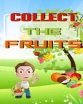 Collect The Fruits 176x220