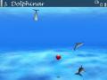 Dolphin Screen Saver