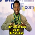 Facts of Pele mobile app for free download
