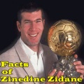 Facts Of Zinedine Zidane