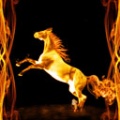 Fire Horse Live Wallpaper