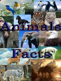 Funny Animal Facts   360x640 mobile app for free download