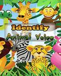 Identify Animal Voice 176x220
