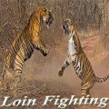 LoinFighting 640X360 mobile app for free download