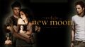New Moon Theme mobile app for free download