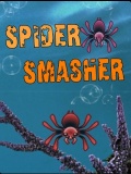 Spider Smasher