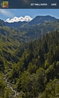 Taiga Wallpaper mobile app for free download