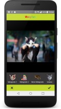Wang Cats   Wangcat 2016 mobile app for free download