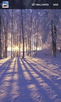 Winter Wallpaper mobile app for free download