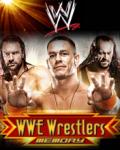 Wwe Wrestlers Memory 176x220