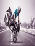 Bikestunts 240x320