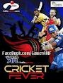 2013 Ipl Cricket 6 2013.jar
