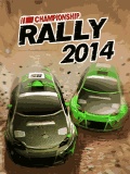 2014 Rally 1