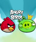 ANGRY BIRDS.. mobile app for free download