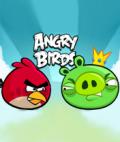 Angry Birds..