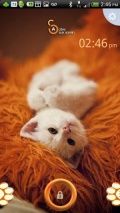 Active   Cute Cat Theme mobile app for free download