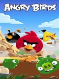 Angry Bird 2013