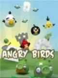 Angry Birds Winter Edition.jar