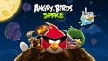 Angry Birds In Space