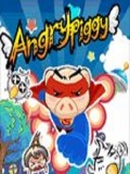 Angry Piggy
