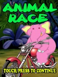 Animalrace