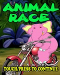 Animal Race