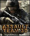 Ashault Team 3d