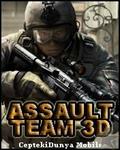 Assault Team 3d