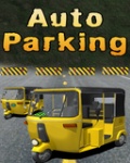 Auto Parking