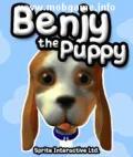 Bengy The Puppy