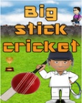 Bigstickcricket_n_ovi