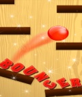 Bouncer 176x208