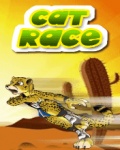 Cat Race 176x220