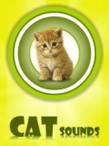 Cat Sounds 360*640 mobile app for free download