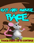 Cat And Mouse Race