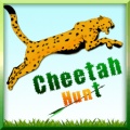 Cheetah Hunt